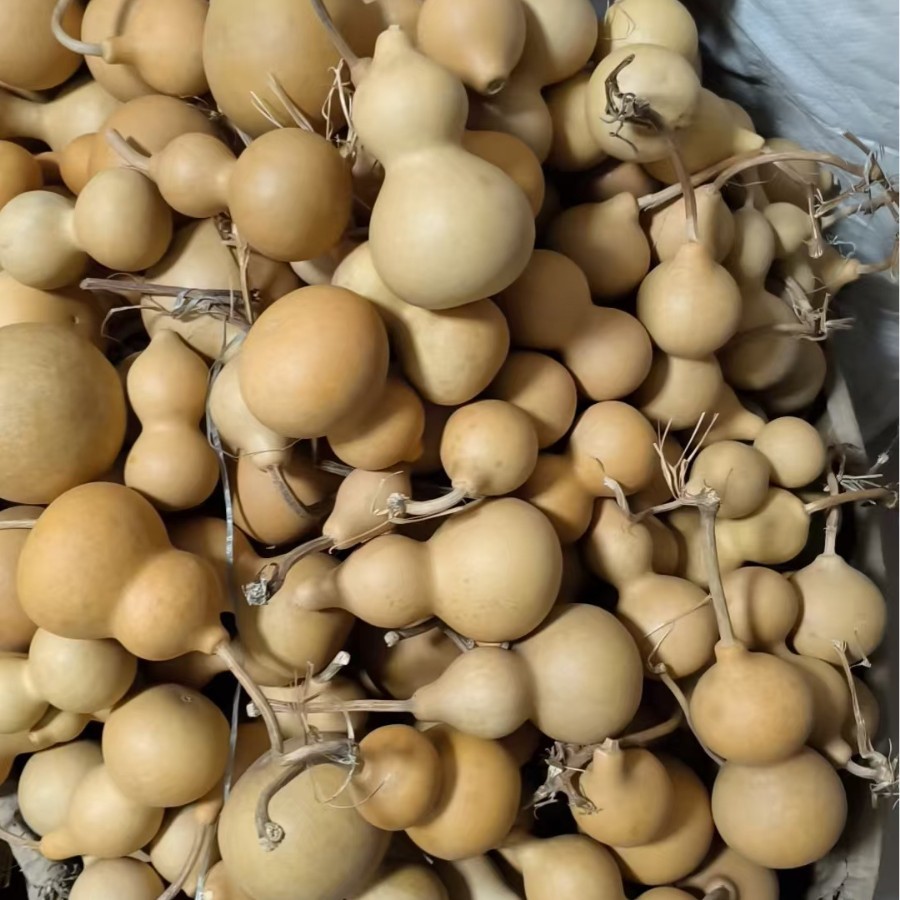现货清仓批发 微瑕葫芦 学校教学烙画练手葫芦   尾货白皮葫芦