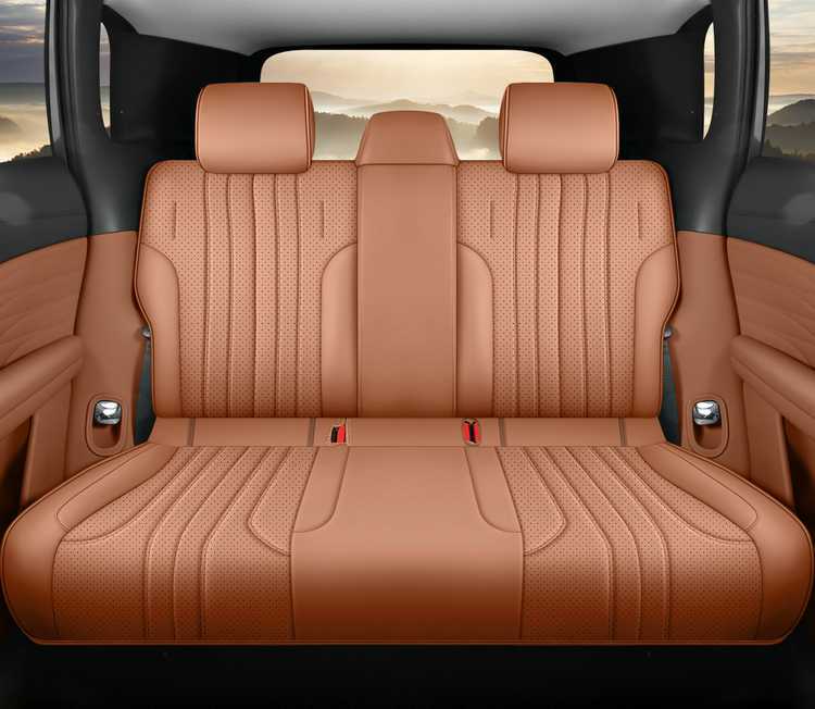 25/26 model Aion V Tyrannosaurus Rex special car seat covers, all-season full-cover cushion covers, leather Aion V seat covers