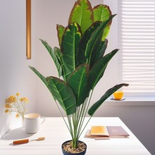 �羳�����҃��辰�Ž��٘����˽����Ԙ�Gֲ�����B�[���t߅�Gֲ