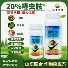 ɽ�|���й���20%���x�� ���^������������ľʭ���º��x���x��