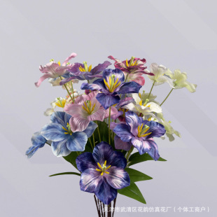 ��֦�_��3D��������滨��c��ˇ�zӰ�b�Y�Ҿ��b��͹żt