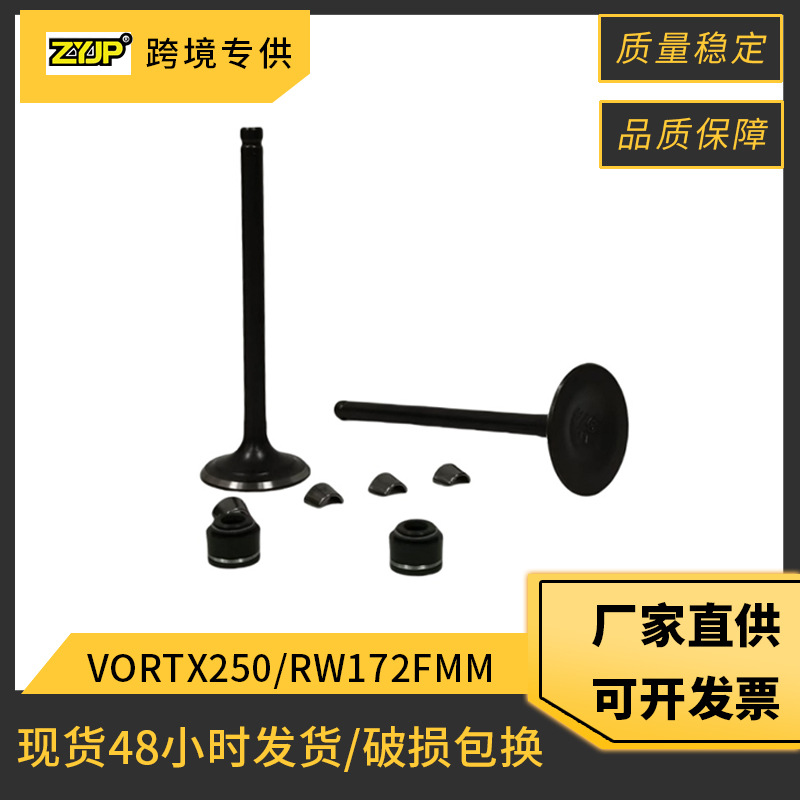 Motorcycle engine valve suitable for RATO VORTX250 CPS250 RBT250 RW172FMM oil seal