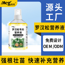 �����_�h�Ɍ��àI�BҺ�Gֲ�����L����ͨ����ϡጻ���ˮ�ܷʏS����