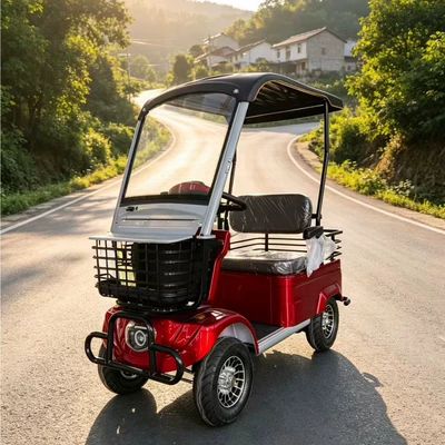 vehicle for sightseeing and transportation — Elektrikli qolf avtomobilləri