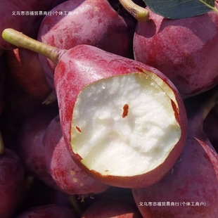 �tơ��Fժ���r����ˮ���tơ����t���ӼtƤ���ܛ��Ŵ��3-10�