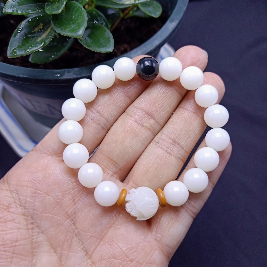 .trashed-1639900497-IMG2021111