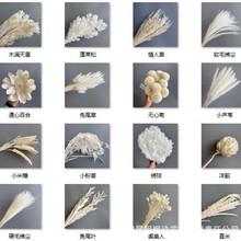 ��������ɫϵ���Ƚ������R�ɽ��~�ֹ�DIY���ļ������û�c�b�