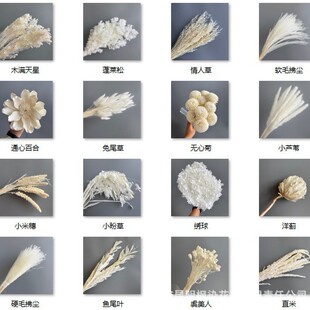 ��������ɫϵ���Ƚ������R�ɽ��~�ֹ�DIY���ļ������û�c�b�