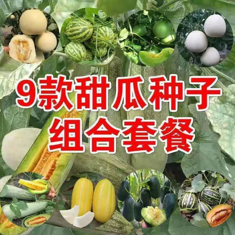 Изумрудный Семена Дыни Тонкая Кожица Сладкие Семена Дыни Четыре Сезона Семена Овощных Хрустящая Дыня Ранней Зрелости Высокая Урожайность Угловой Дыни