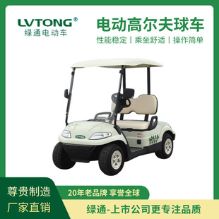 LVTONG golf cart four-wheel two-seat open electric sightseeing car with wide viewing space