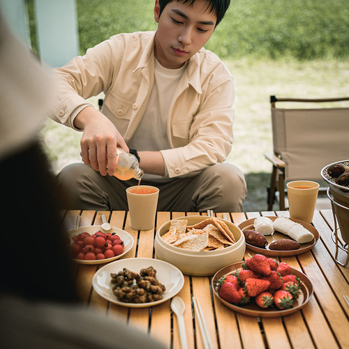 Outdoor travel picnic tableware set portable picnic barbecue camping plastic disc water cup dishes chopsticks combination