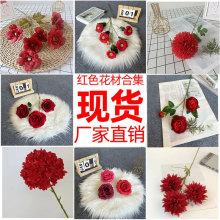 tɫϵc滨YõŻ·T픲廨õ廨ٻ