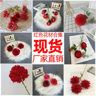 tɫϵc滨YõŻ·T픲廨õ廨ٻ