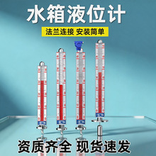 现货速发磁浮子带远传变送器双色不锈钢磁力液位计磁翻板液位仪
