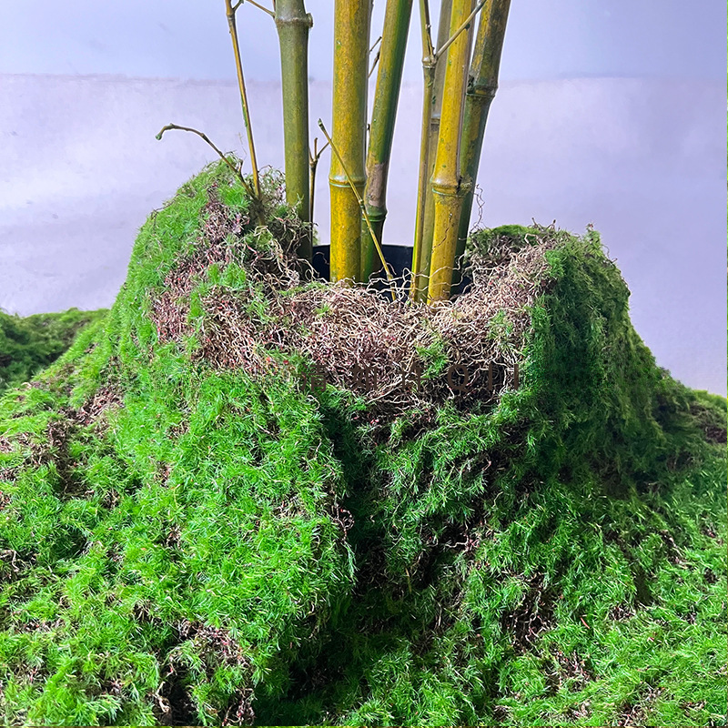 廠家仿真苔蘚綠色假青苔背景裝飾植物牆草坪微景觀人造苔蘚草皮