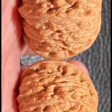 ����ת{�ӜZˮ��ɫ������Ҫ{���^ϵ�о�Ʒ���|M�A��ɫ����Ȼ