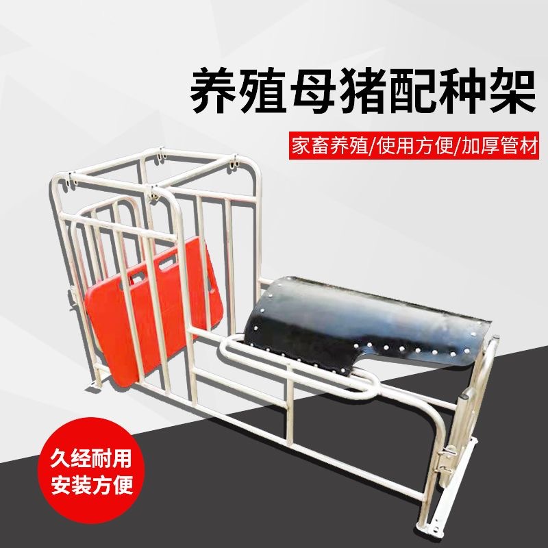 Rack de semilla de cerdas elevación rack de semilla de cerdo pie bajo rack de semilla de suelo galvanizado en caliente soporte de recolección de semilla