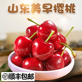 瓜果类;苹果;西式糕点