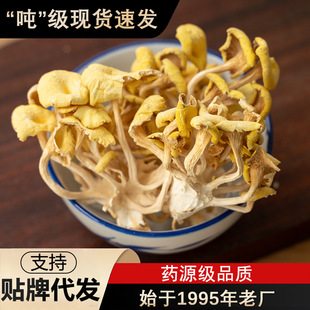 �cԪ�خa���S��ɢ�b���Ģʳ�þ��S�z���Ҝ����S����؛Ģ�����l