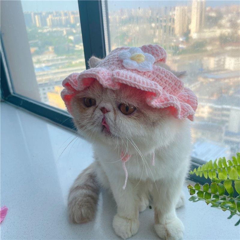 宠物头套猫咪狗狗编织帽子道具头饰搞笑变身服批发|undefined