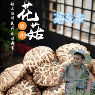 �������Ӿ��x�����خaС������؛��ɽ�r�ҷNֲ������Ʒ500g