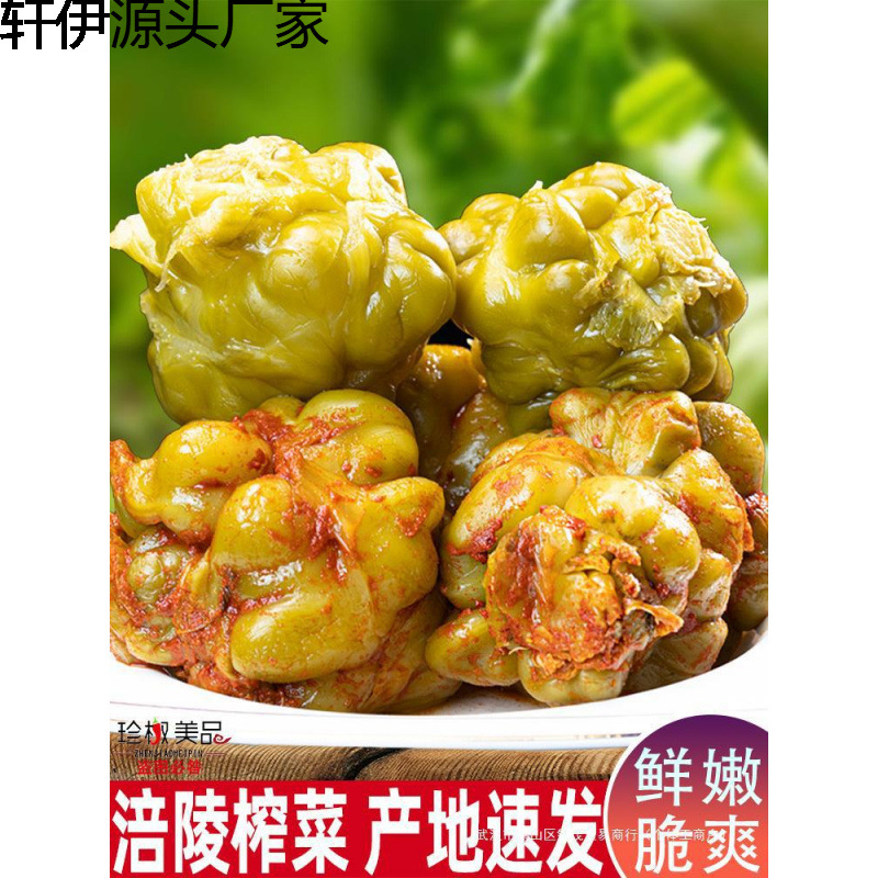 涪陵榨菜头整箱批商用发泡菜疙瘩咸菜四川新鲜五香