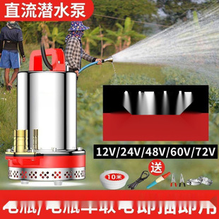Dc Submersible Pump 12V24V48V60V Cast Iron Household Water Pump Irrigation Agricultural Watering Electric Vehicle Pump