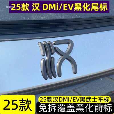 car emblem and grille blackened with Car logo
