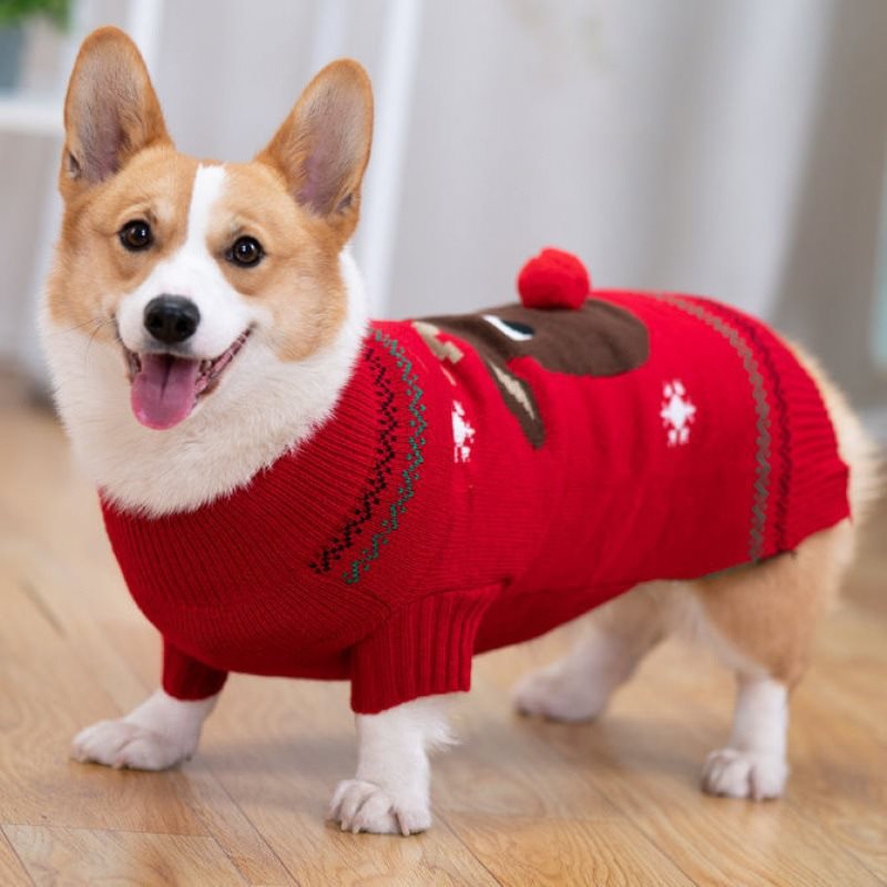 Padded Coat Image 4