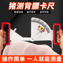 猪用背膘卡尺猪膘情测定指导器饲喂不锈钢卡尺膘情妊娠母猪背膘尺