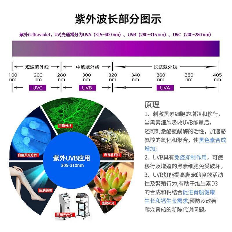 3535�մ���������led����270-316nm���貹�Ƶƹ�����ר��UVB��Դ