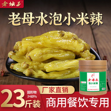 老坛子泡白小米辣11.5kg餐饮商用桶装