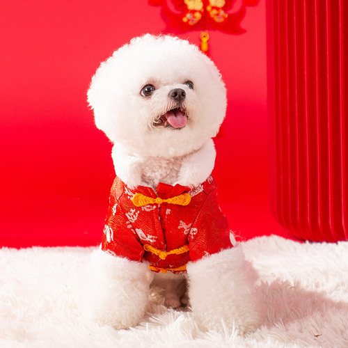 Puppy New Year Tang Suit Warm Thickened Two-legged Cotton Clothes New Year Festive Cat Small Dog Pet Clothes Wholesale