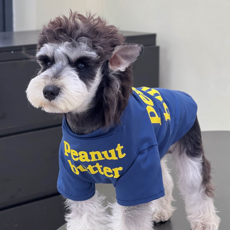 Direct Sales from the Manufacturer: Trendy Pet Cat and Dog Clothes, English Print T-Shirts, Anti-Shedding for Small, Medium, and Large Dogs