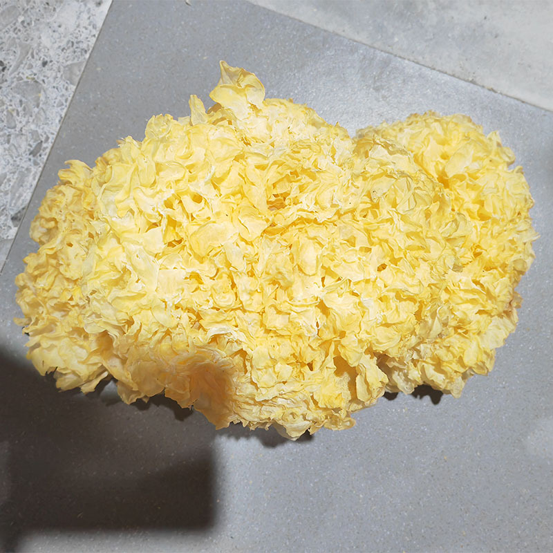 d3564ed4282523091cd92d630d1317