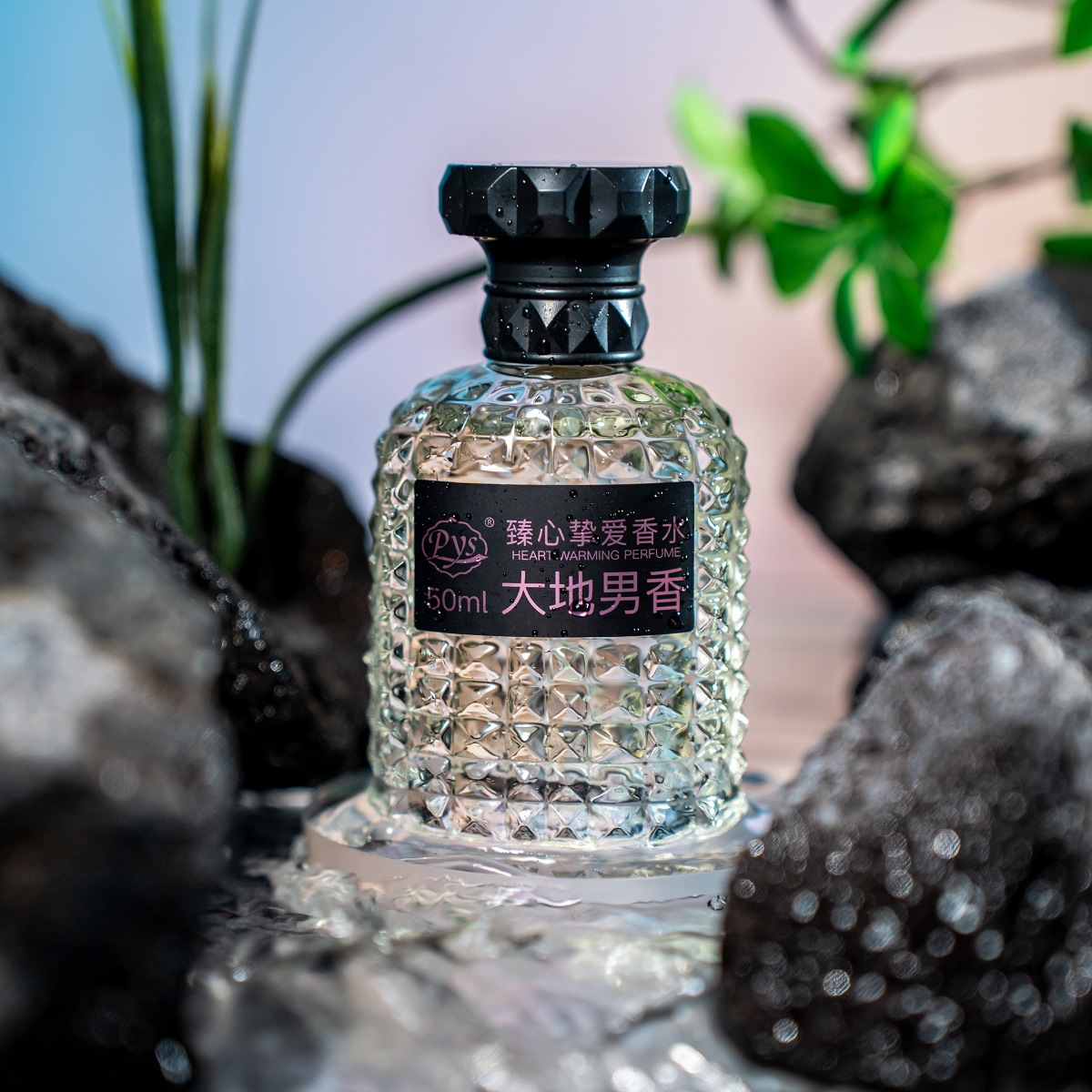 지구 남성 향수