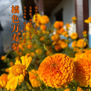 �f�۾շN���ļ��_���׻��ܽ�ػ��N���ӿ�ȸ�ݻ��N���ذ��f�۾���