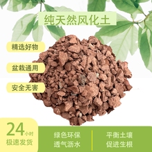 纯天然风化石金弹子老鸦柿栀子花兰花酸性土渗水石红土颗粒美