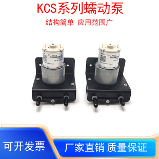 12V��������ӱÿ�Ĭ��΢��Сˮ�Ða���Ì���ҳ�Һ��KSCϵ�б�