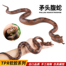 �羳��ͯ�J֪���tpr��̖����ܛ�zì�^�������߼��߷������ģ��
