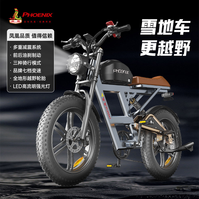 Productos genuinos Phoenix snowmobile montaña multi-amortiguación de aleación de aluminio 1000W batería de coche