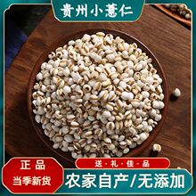 �F��޲����޲����șș�ĸ�؛��������s�Z�ּZʳ������С޲����