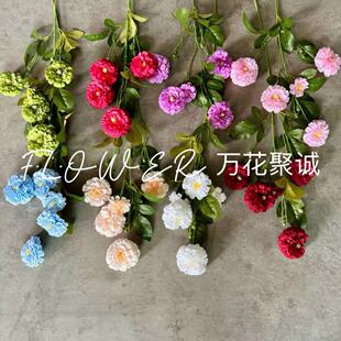 5�^�ͮ�ˮܽ�� ���滨�\��ĵ����c�Ҿ��b鼆�zӰ�����ٻ����l