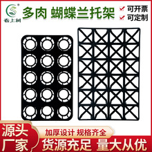 ��ɫ�A�η��μӺ��м��бP������������͸����܈@ˇ�Nֲ����