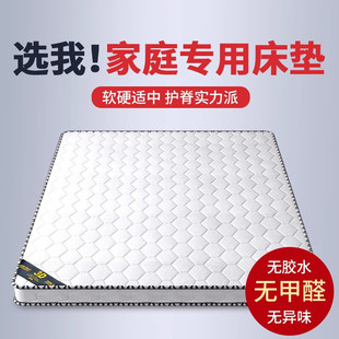 Natural Coconut Palm Mattress Brown Mat Thin 1.5 m 1.8m Children's Spine Protection Household Folding Mat Palm Hard Mat