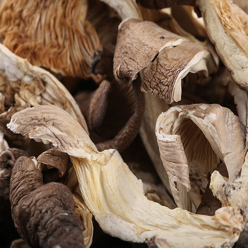 Pleurotus ostreatus strips, fresh mushrooms from farmers wholesale, Yunnan-produced oyster mushrooms, phoenix tail mushrooms, north wind mushroom strips, can be shipped on behalf of