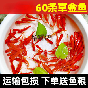 �^�p�~���~С�͵�ˮ�ͻ���ˮ���B���~�w���B�J������~�t�a�~��