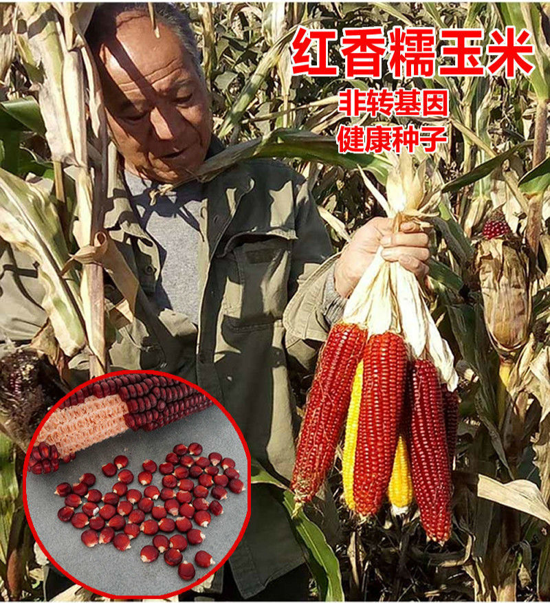 456d3d2e-0532-4f29-b906-bb658c