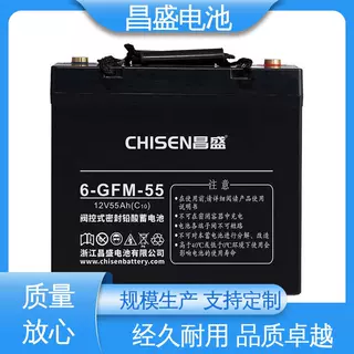 昌盛 6-GFMJ-55 EPS 蓄电池 医疗设备 价格优惠