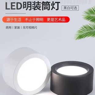 LED Surface Mounted Downlight Black Round Ceiling Scandinavian Living Room Bedroom Aisle Corridor Entrance Punch-free Lighting